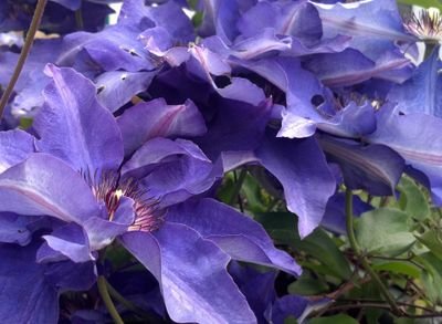 slugbug1992's profile picture. 