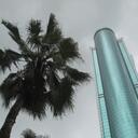 Frank Morris - @morris_frank - Twitter