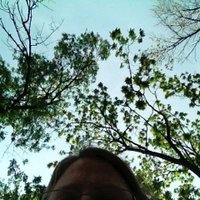 Lesa Davis (@lesad_) 's Twitter Profile