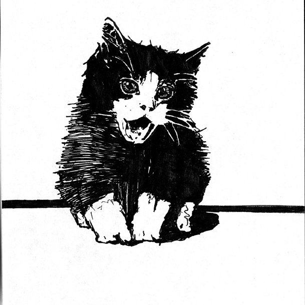 Gorthon32's profile picture. 