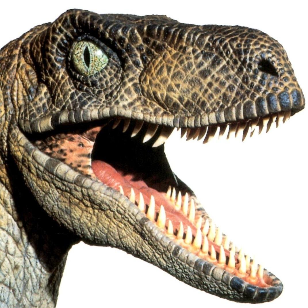 A dinosaur's opinion is much more valid than an ordinary shmo