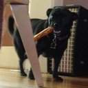 Natalie Emanuel - @nattylives777 - Twitter