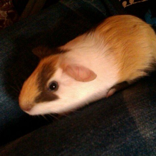 Estefani_Jonas's profile picture. 