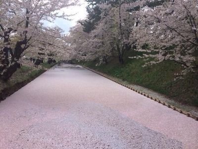 つぶやきは少ないです。勝手にリツイートします_(._.)_いくつになっても好きなものは好きなんです(^_^)v年齢は問わず毎日セックスしたいんです(^^ゞ無言フォローすみません(o_ _)o