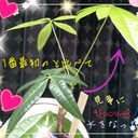 たけしまあいか (@0129_aika) Twitter