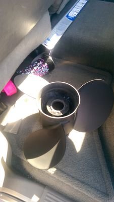 TillyRDT's profile picture. 