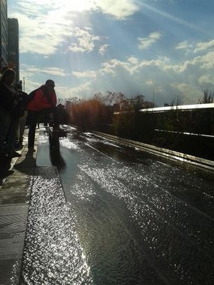 iralis14's profile picture. 