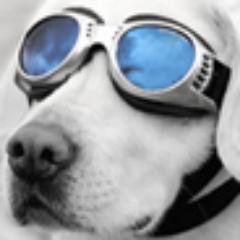 備忘録用
「人と同じじゃ嫌！」 って人と同じ事をいう人が好き（はぁと）