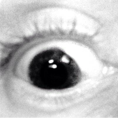 mothorbit's profile picture. Tripping up stares in the fire.