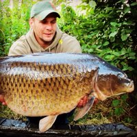 karl pitcher (@karlpitchercarp) 's Twitter Profile