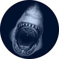 detka_73's profile picture. 