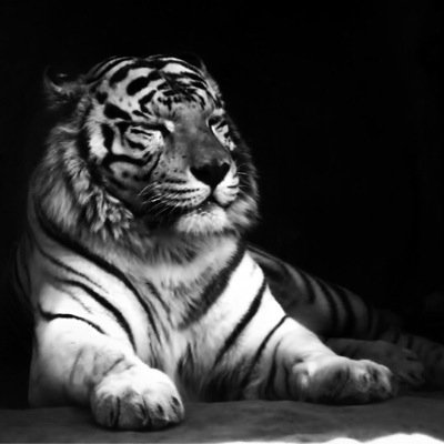 kalesokoloff's profile picture. Follow me and ill follow you back O3O and check out my channel gametekbros we make gaming videos like minecraft and we have boss games like fnaf2,minecraft