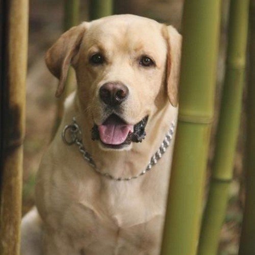 lost_inLOST's profile picture. 