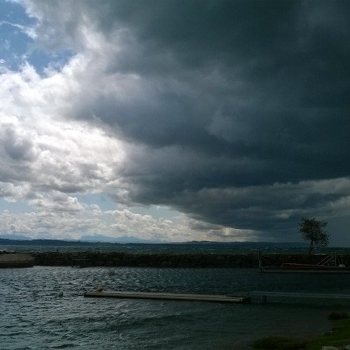 Rivk2788's profile picture. 