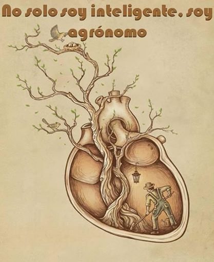 AnnGeminiz's profile picture. 