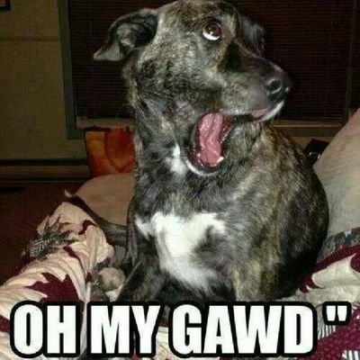 ImKward's profile picture. 