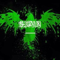 تم الدعس#جيش_السنه (@memom25_) 's Twitter Profile