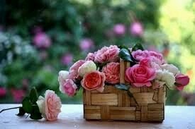 ‏‏‏ابحث لصديقتي خضيريه بكر23 جامعيه مثقفه سنعه راعية بيت بيضاء شخصيه وتقدر الحياة الزوجيه  ابي لها  من الرياض او الخرج اعزباو مطلق بدون اطفال مهر ميسر