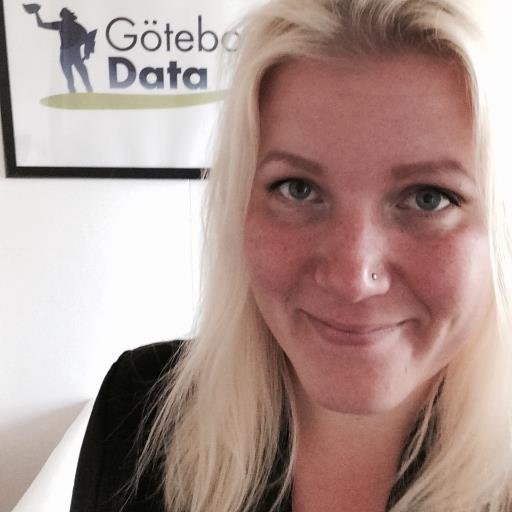 GoteborgData's profile picture. Göteborg Data kan erbjuda dig en helhet inom IT.
Servicetekniker. Serverdrift av stora företag i serverhall. IT-konsulter. Web hosting. Programmering & design.