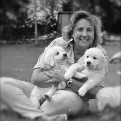 LudoAstuti's profile picture. 