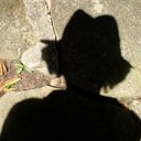 Tess Pearson - @tess_writes - Twitter