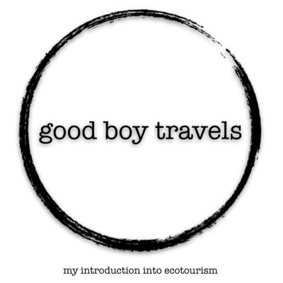 goodboytravels's profile picture. 