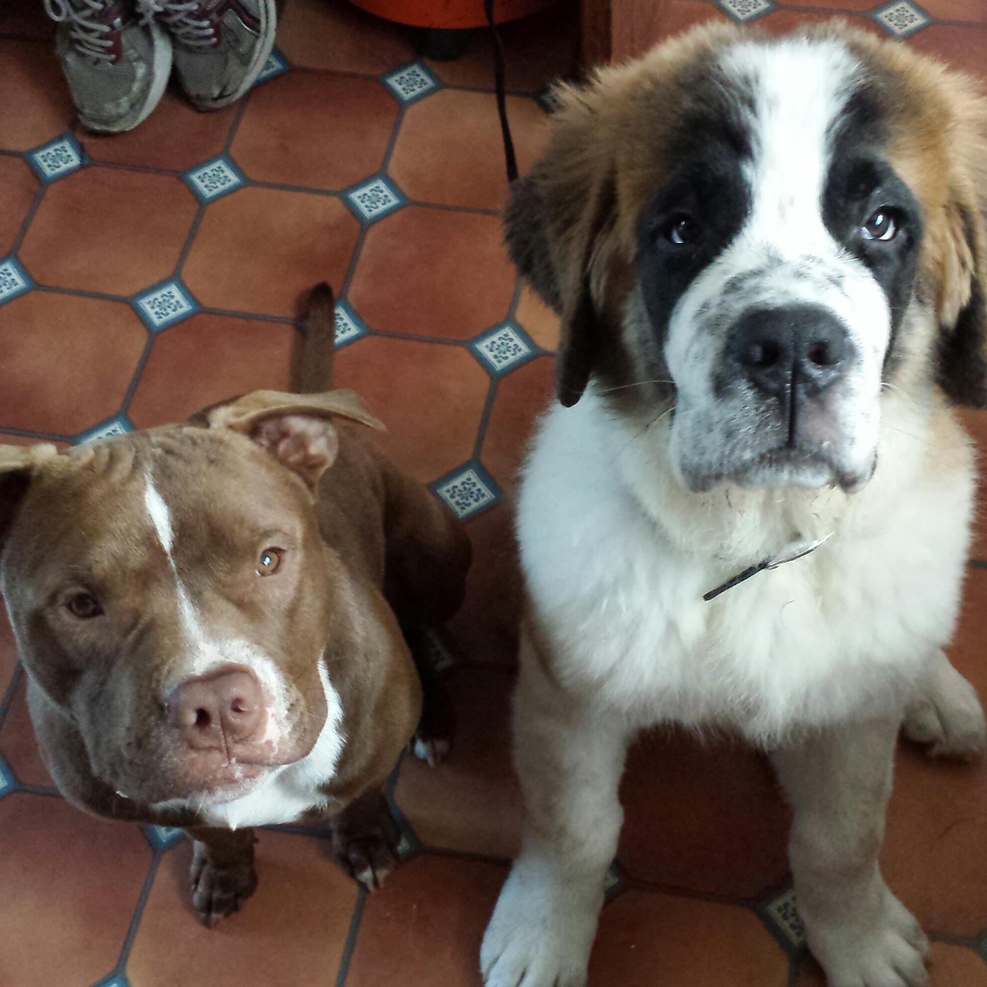 Sidneyoidia's profile picture. 