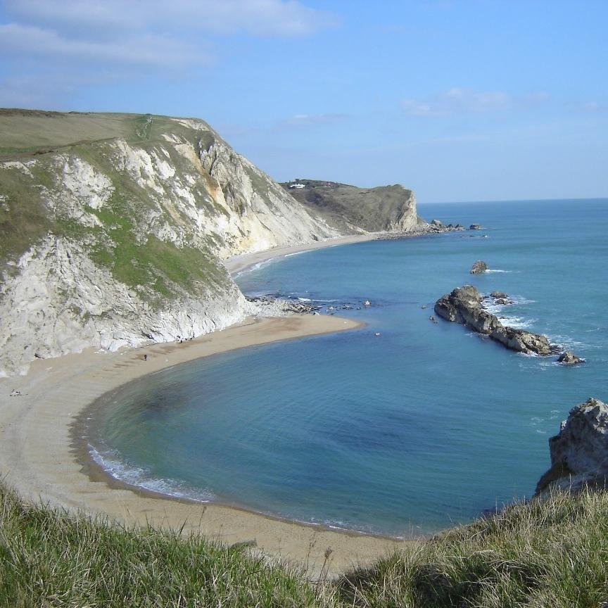 edamfs's profile picture. 