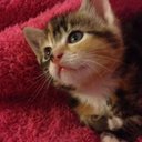 Doreen Sweeney - @doreen_sweeney - Twitter