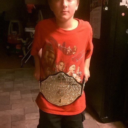 evynp2013's profile picture. Huge wrestling fan favorite divas the Bella twins,aj Lee