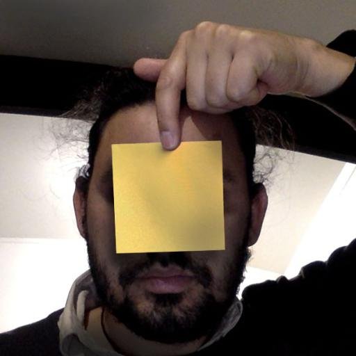 Internal_Memo's profile picture. Maori, Conservator, Artist