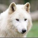 طارق مجدي شحاده هزوز (@0598456898) Twitter