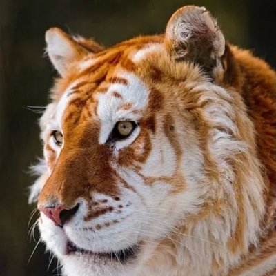 alachmann92's profile picture. 