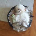 tammy dee ritchie - @tammydee1234 - Twitter