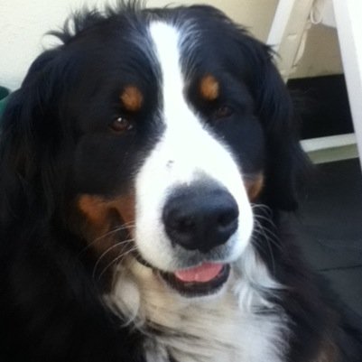 PCarr999's profile picture. Come on Brazil & Neymar get well soon