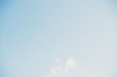 LilyaGalimova's profile picture. 