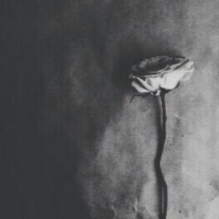 ‏رحاب ♡!