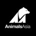 Twitter Profile image of @AnimalsAsiaUK