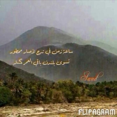 رحل ..! ( ولكن مانسيته )!