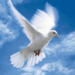 PaCe_e_aMorE_'s profile picture. ......