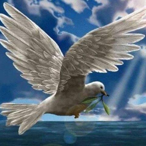 Jam e gjallë për sa e sa netë të verës së ngrohtë,..blu dhe romantike... Jetoj për të qenë e lirë,e lumtur, e dashuruar...Jo    me lot.. re e mbremjeve te vona.
