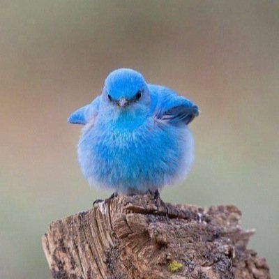 25__kadr's profile picture. :)