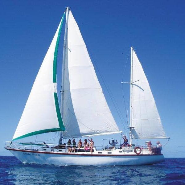 sailinspain's profile picture. Sailing in Spain. The bests places