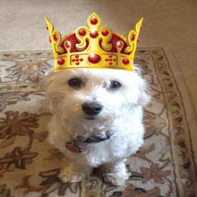 sheilataylor23's profile picture. 