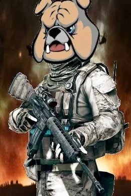 BulldoggameerYT's profile picture. battlefield based Youtuber . I do funny moments, gameplay and more