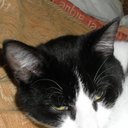 amanda dorrell - @dorrellamanda - Twitter