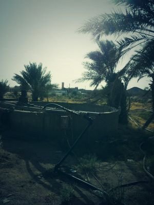‏‏‏‏‏الجنوب