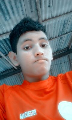regy