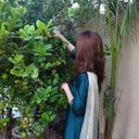 Laraib Mughal (@029a78bd5ae6456) Twitter