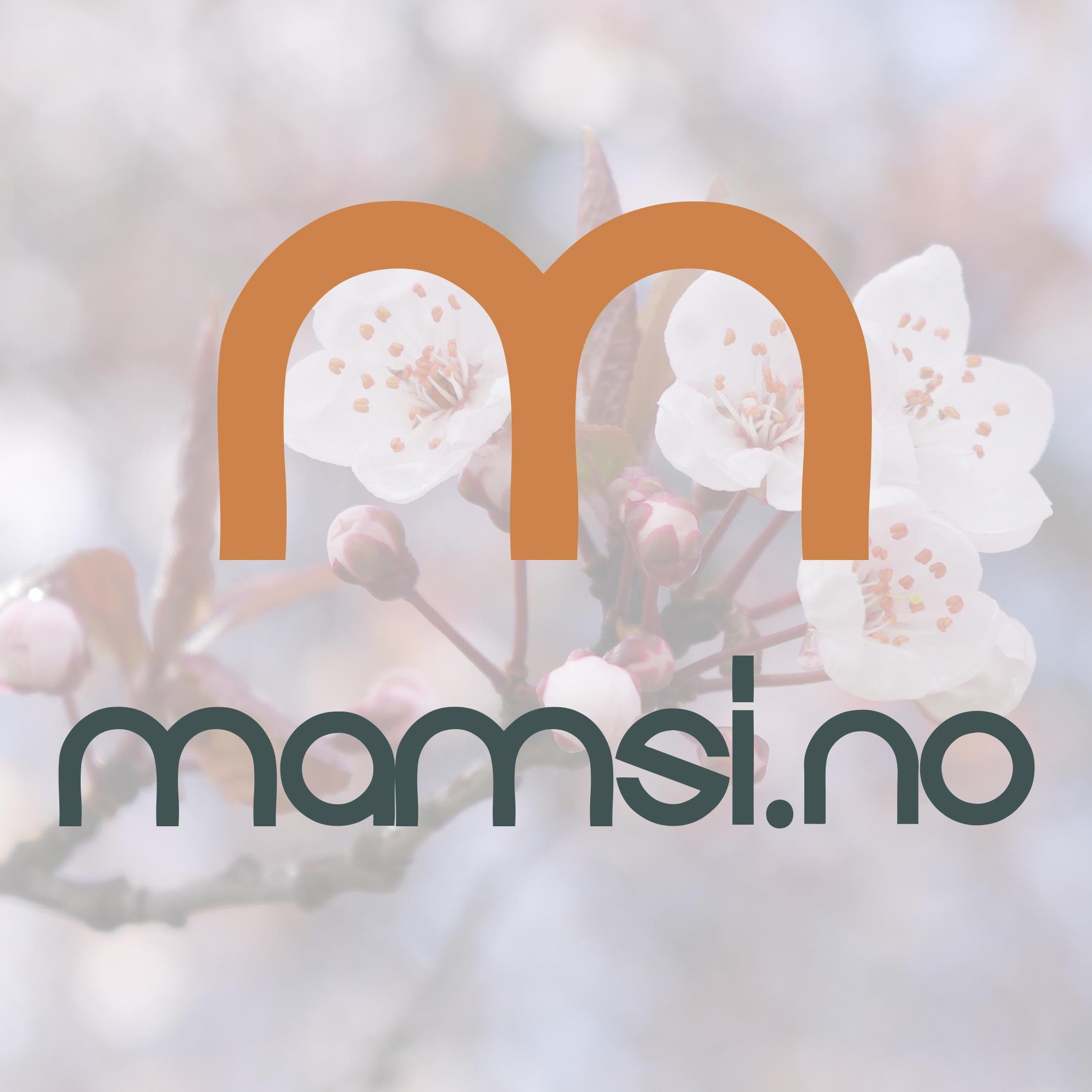 Mamsi.no er et nettsted drevet av Victoria Ibabao Edwards. Handler om foreldrelivet, arbeidslivet, trening, mat og livet selv.